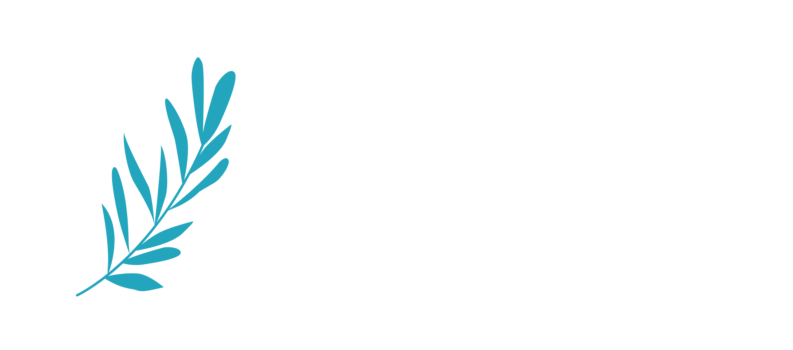 color_logo_transparent